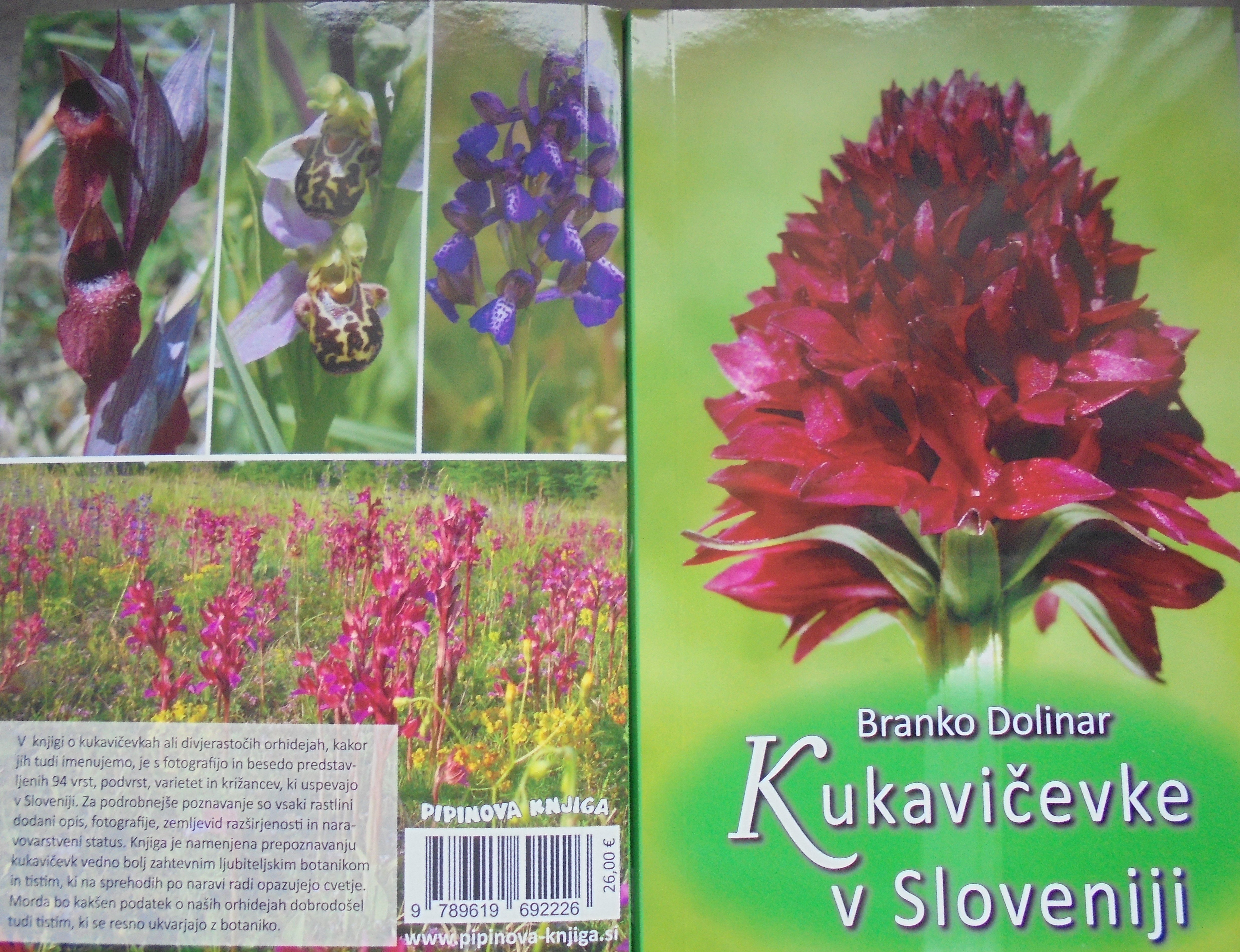 S klikom na sliko vstopite na stran Slovenske orhideje ... / Click on the picture to enter site ...