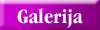Galerija slik slovenskih orhidej / Gallery